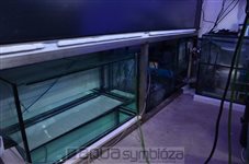 sl07